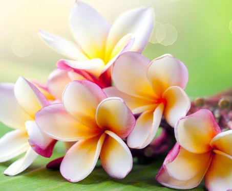 荨麻疹的诊断标准是什么