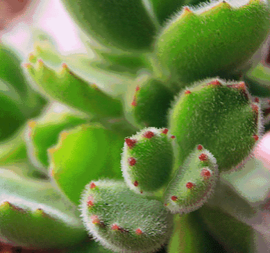 过敏性荨麻疹如何护理效果好？