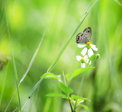 患有青春痘应该如何保养